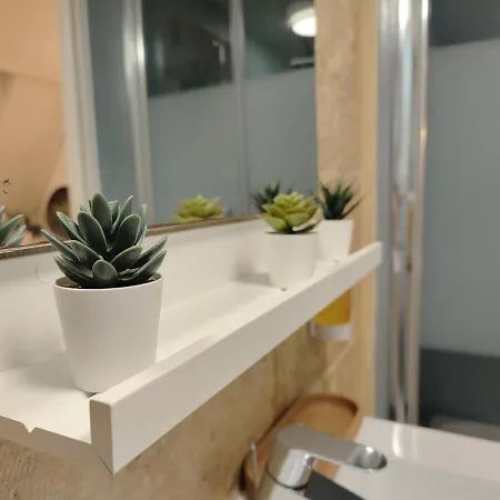 Studio Lumineux Et Fleuri Idealement Situe Appartement Caen