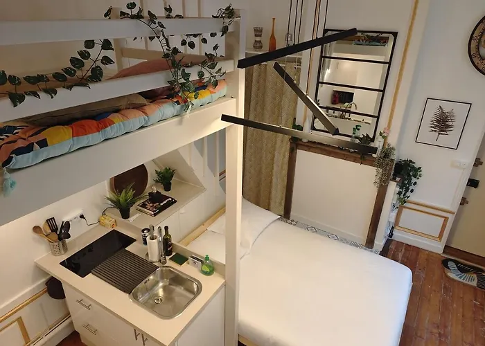 Studio Lumineux Et Fleuri Idealement Situe Daire Caen