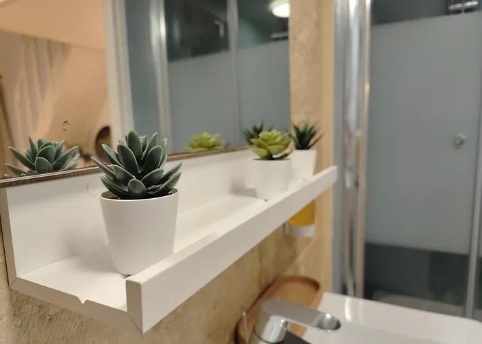 Studio Lumineux Et Fleuri Idealement Situe Daire Caen