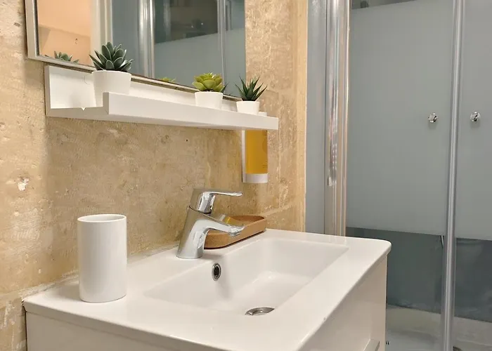 Daire Studio Lumineux Et Fleuri Idealement Situe *